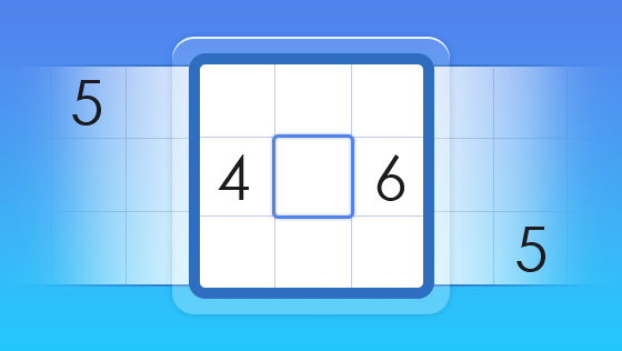 sudoku entry